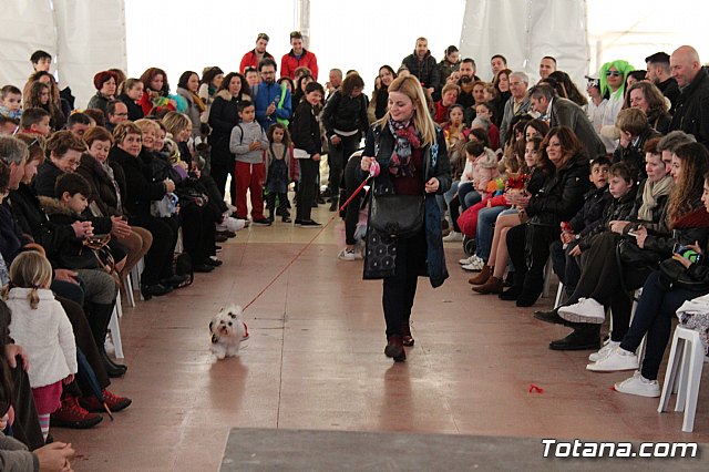 Concurso de disfraces de mascotas - Carnaval de Totana 2017 - 87