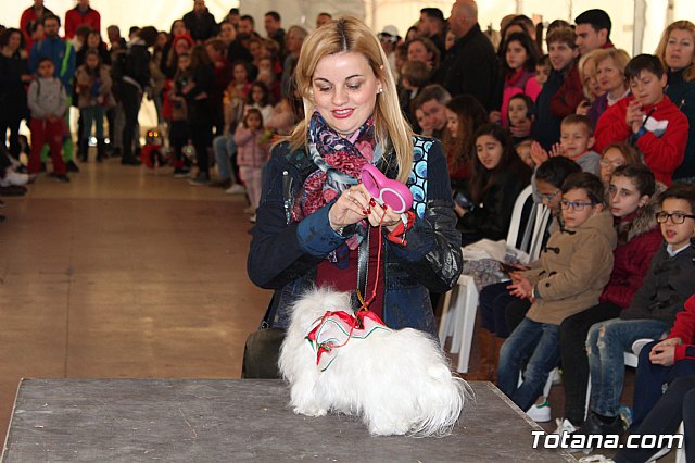 Concurso de disfraces de mascotas - Carnaval de Totana 2017 - 88
