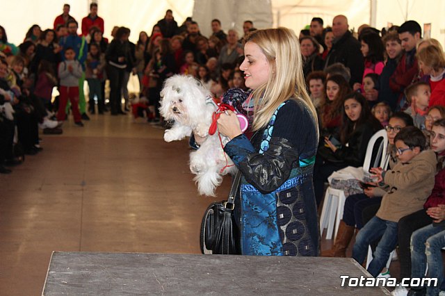 Concurso de disfraces de mascotas - Carnaval de Totana 2017 - 89