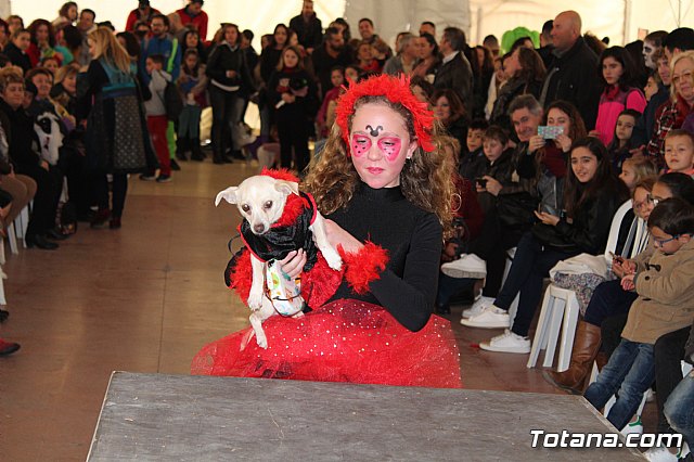 Concurso de disfraces de mascotas - Carnaval de Totana 2017 - 90