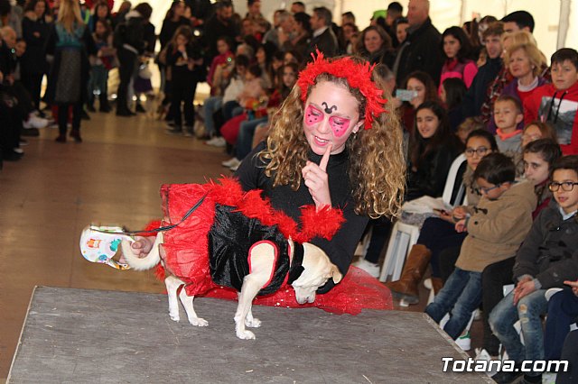 Concurso de disfraces de mascotas - Carnaval de Totana 2017 - 91