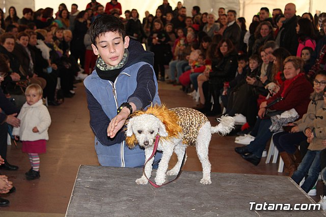 Concurso de disfraces de mascotas - Carnaval de Totana 2017 - 94