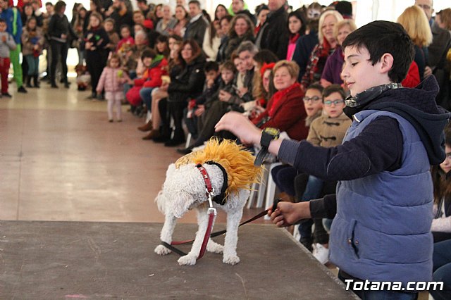 Concurso de disfraces de mascotas - Carnaval de Totana 2017 - 95