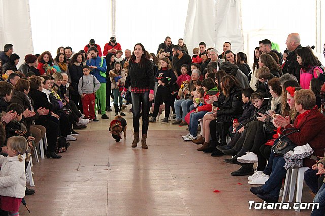 Concurso de disfraces de mascotas - Carnaval de Totana 2017 - 96