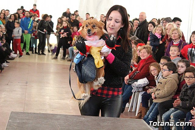 Concurso de disfraces de mascotas - Carnaval de Totana 2017 - 97