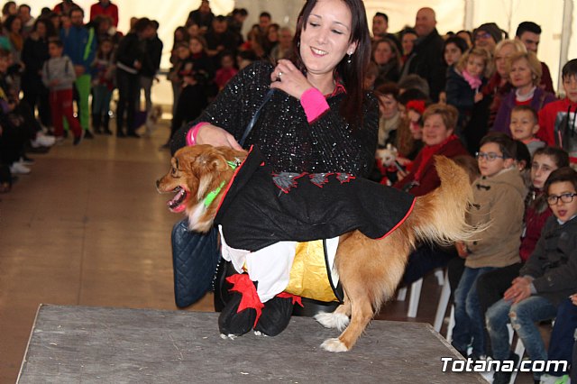 Concurso de disfraces de mascotas - Carnaval de Totana 2017 - 98