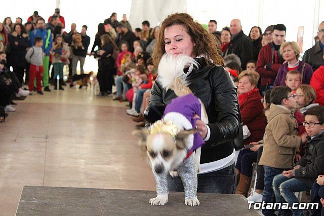 Concurso de disfraces de mascotas - Carnaval de Totana 2017 - 100