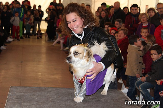 Concurso de disfraces de mascotas - Carnaval de Totana 2017 - 101
