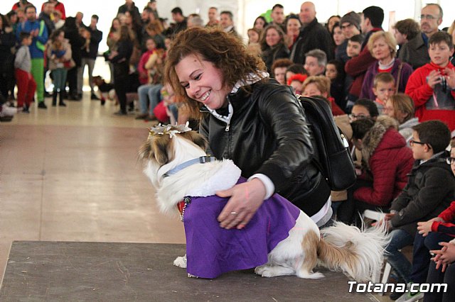 Concurso de disfraces de mascotas - Carnaval de Totana 2017 - 102