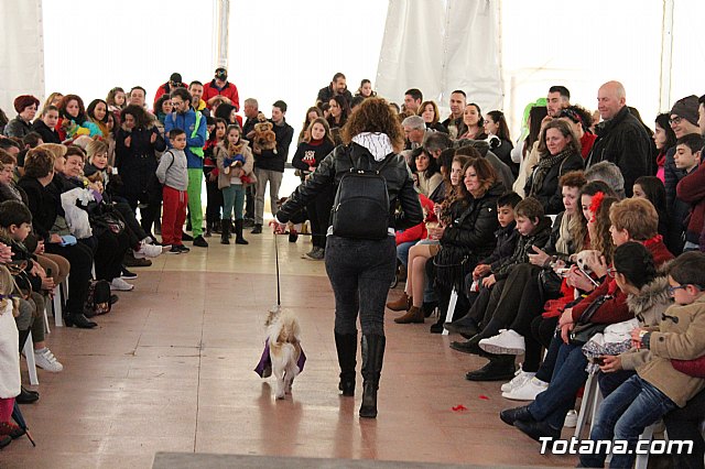 Concurso de disfraces de mascotas - Carnaval de Totana 2017 - 103