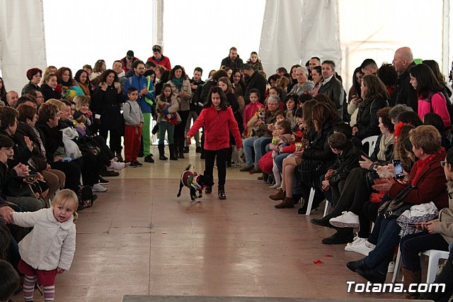 Concurso de disfraces de mascotas - Carnaval de Totana 2017 - 104