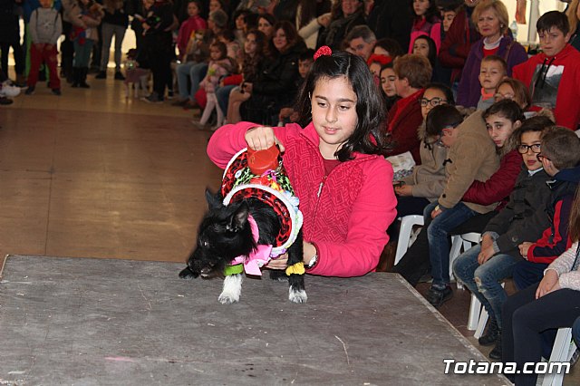 Concurso de disfraces de mascotas - Carnaval de Totana 2017 - 105
