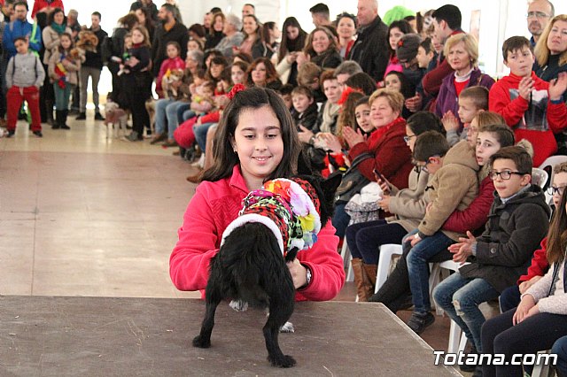 Concurso de disfraces de mascotas - Carnaval de Totana 2017 - 106
