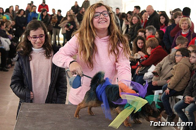 Concurso de disfraces de mascotas - Carnaval de Totana 2017 - 110