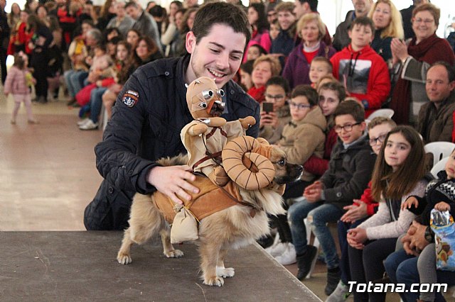 Concurso de disfraces de mascotas - Carnaval de Totana 2017 - 115