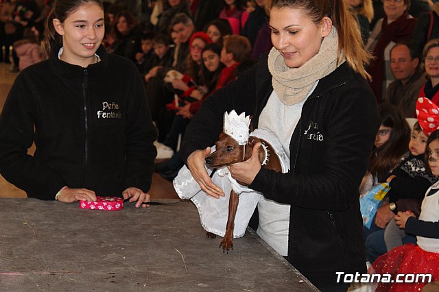 Concurso de disfraces de mascotas - Carnaval de Totana 2017 - 119