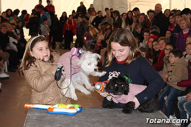 Concurso de disfraces de mascotas - Carnaval de Totana 2017 - 121