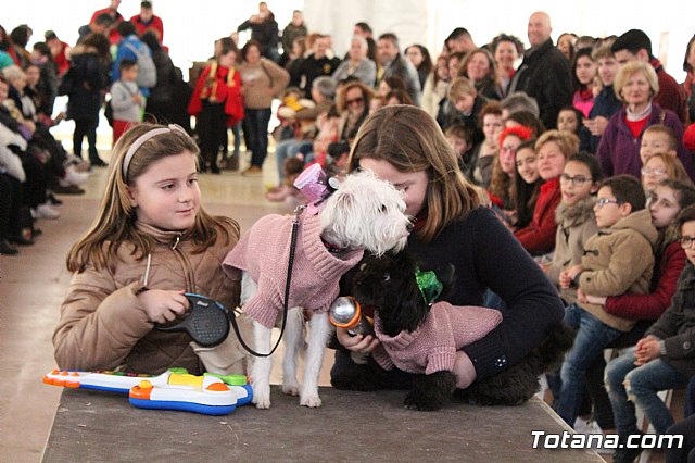 Concurso de disfraces de mascotas - Carnaval de Totana 2017 - 122