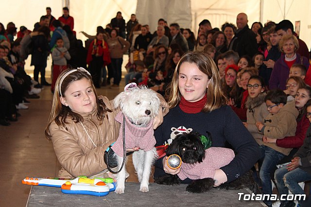 Concurso de disfraces de mascotas - Carnaval de Totana 2017 - 123