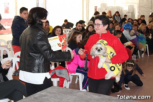 Concurso de disfraces de mascotas - Carnaval de Totana 2017 - 135