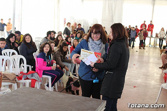 Concurso de disfraces de mascotas - Carnaval de Totana 2017 - 138