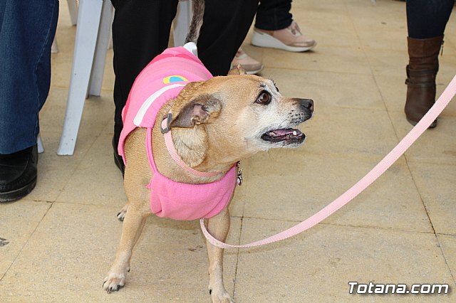 4 Concurso de Disfraces para Mascotas - Carnaval de Totana 2020 - 3