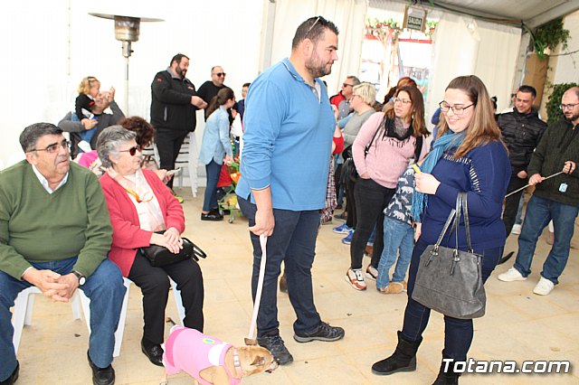 4 Concurso de Disfraces para Mascotas - Carnaval de Totana 2020 - 4