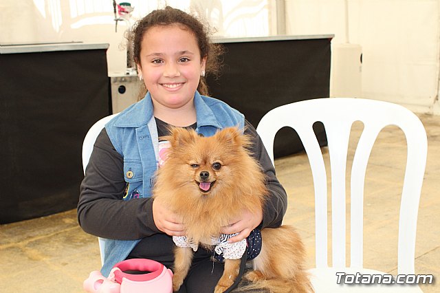4 Concurso de Disfraces para Mascotas - Carnaval de Totana 2020 - 15