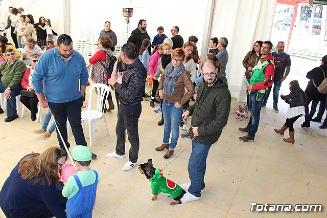 4 Concurso de Disfraces para Mascotas - Carnaval de Totana 2020 - 30