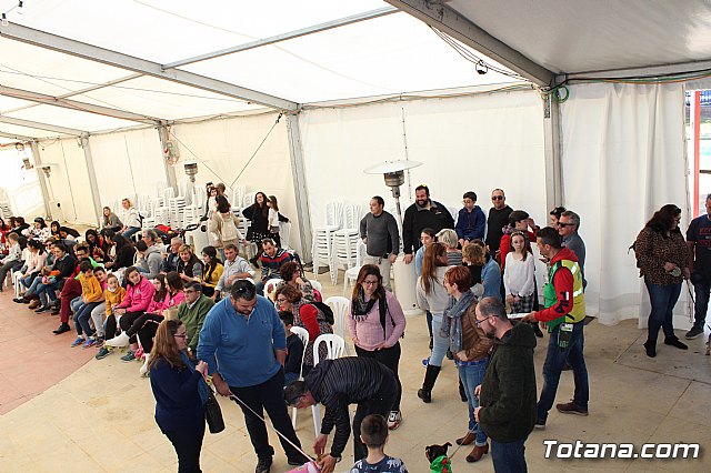 4 Concurso de Disfraces para Mascotas - Carnaval de Totana 2020 - 32