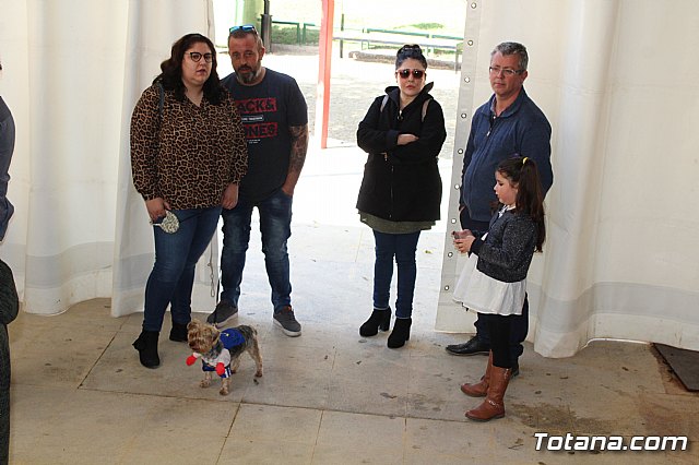 4 Concurso de Disfraces para Mascotas - Carnaval de Totana 2020 - 33