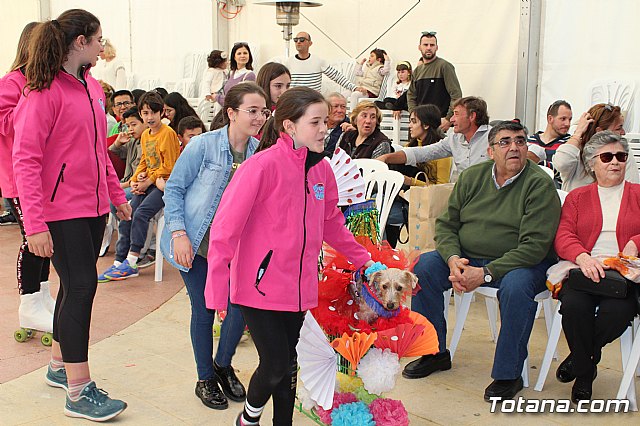 4 Concurso de Disfraces para Mascotas - Carnaval de Totana 2020 - 47