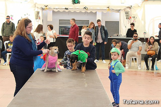 4 Concurso de Disfraces para Mascotas - Carnaval de Totana 2020 - 48