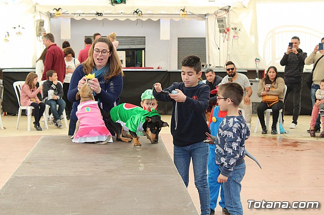 4 Concurso de Disfraces para Mascotas - Carnaval de Totana 2020 - 49