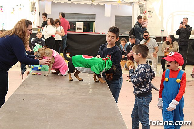 4 Concurso de Disfraces para Mascotas - Carnaval de Totana 2020 - 50
