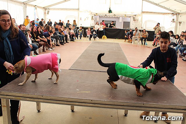 4 Concurso de Disfraces para Mascotas - Carnaval de Totana 2020 - 52