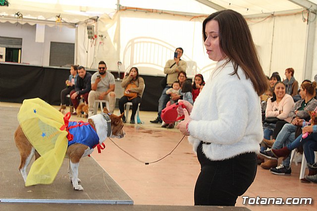 4 Concurso de Disfraces para Mascotas - Carnaval de Totana 2020 - 60