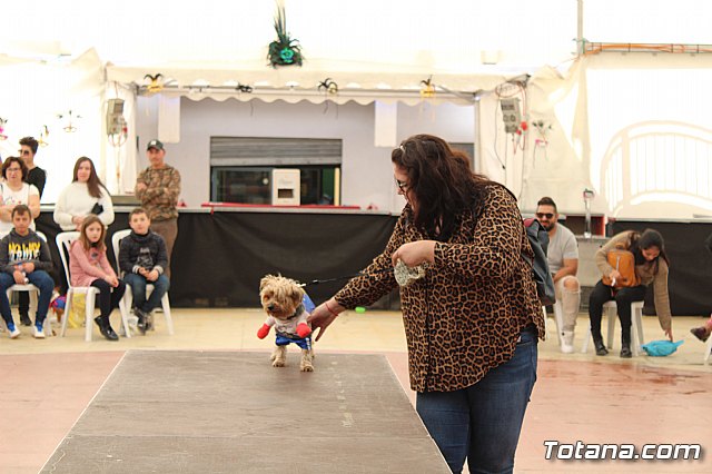 4 Concurso de Disfraces para Mascotas - Carnaval de Totana 2020 - 61