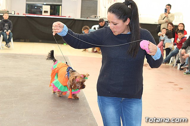 4 Concurso de Disfraces para Mascotas - Carnaval de Totana 2020 - 67
