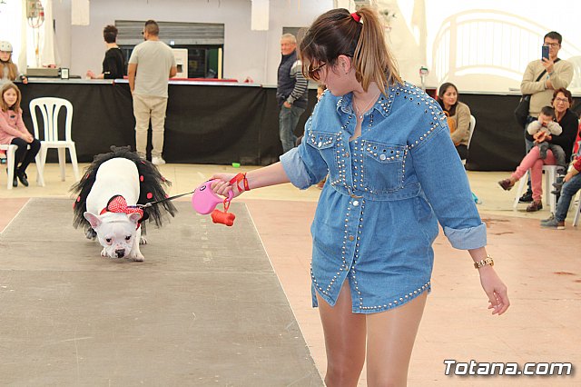 4 Concurso de Disfraces para Mascotas - Carnaval de Totana 2020 - 69