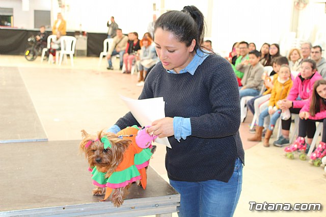 4 Concurso de Disfraces para Mascotas - Carnaval de Totana 2020 - 76