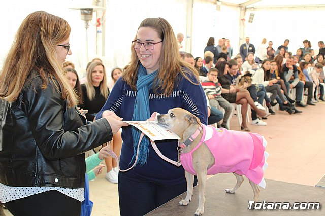 4 Concurso de Disfraces para Mascotas - Carnaval de Totana 2020 - 77