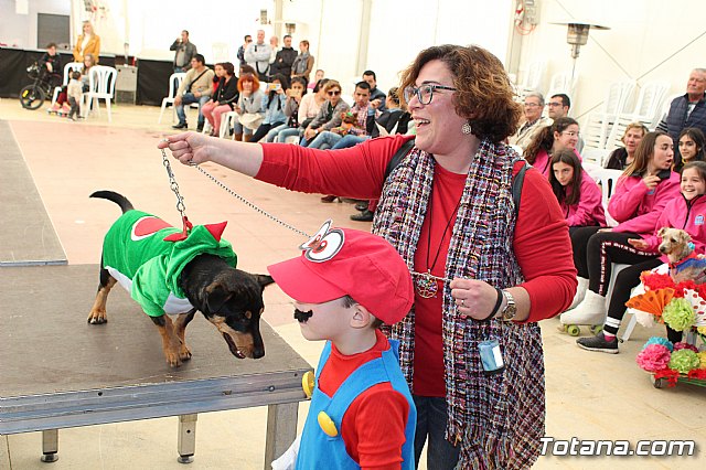 4 Concurso de Disfraces para Mascotas - Carnaval de Totana 2020 - 78