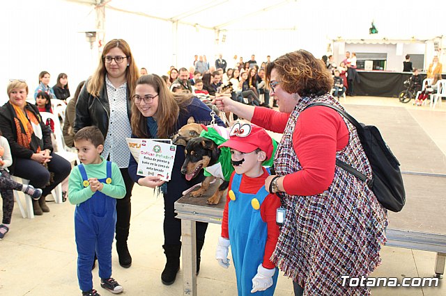 4 Concurso de Disfraces para Mascotas - Carnaval de Totana 2020 - 79