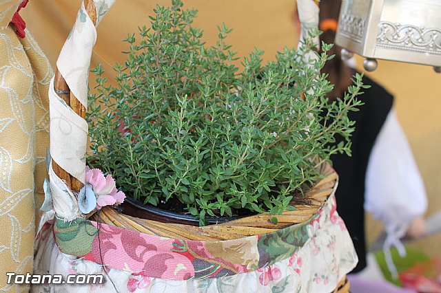 Mercadillo Medieval Totana 2012 - 147