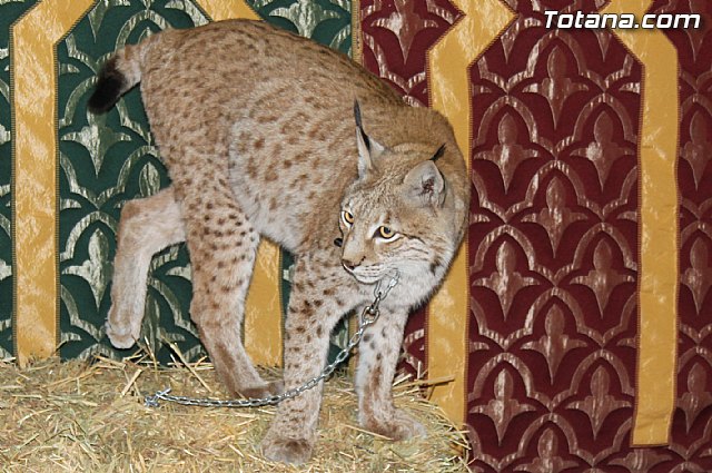 Mercadillo Medieval - Totana 2013 - 44