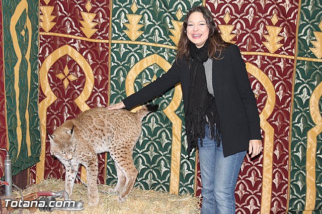 Mercadillo Medieval - Totana 2013 - 50