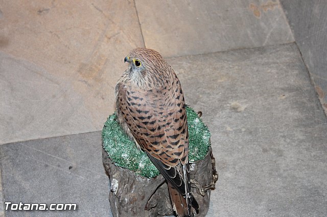 Mercadillo Medieval - Totana 2013 - 51