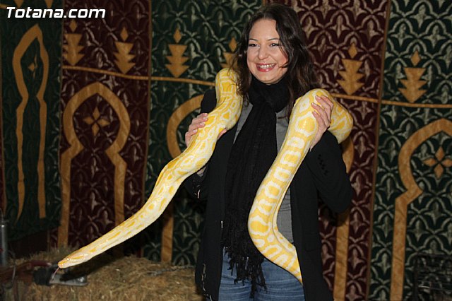 Mercadillo Medieval - Totana 2013 - 58