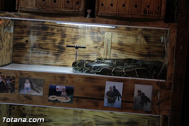 Mercadillo Medieval - Totana 2013 - 72